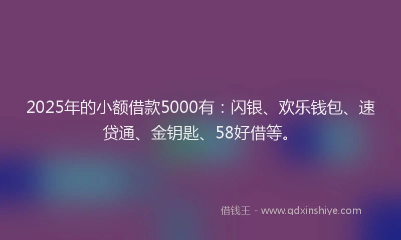 2025年的小额借款5000有：闪银、欢乐钱包、速贷通、金钥匙、58好借等。