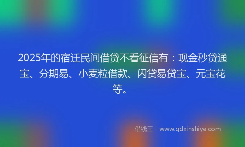 2025年的宿迁民间借贷不看征信有：现金秒贷通宝、分期易、小麦粒借款、闪贷易贷宝、元宝花等。