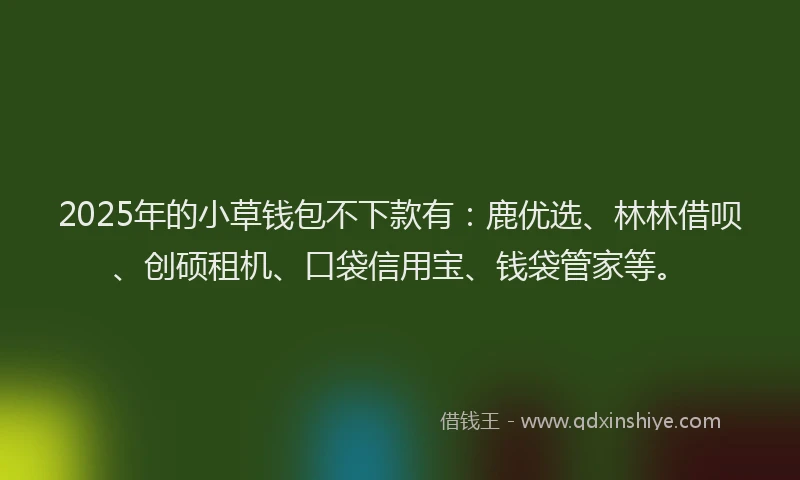 2025年的小草钱包不下款有：鹿优选、林林借呗、创硕租机、口袋信用宝、钱袋管家等。