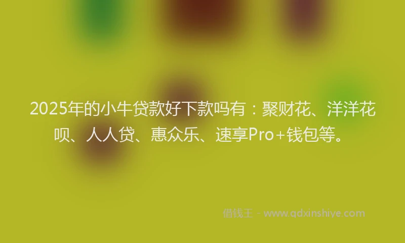 2025年的小牛贷款好下款吗有：聚财花、洋洋花呗、人人贷、惠众乐、速享Pro+钱包等。