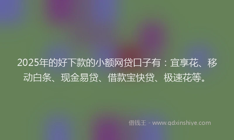 2025年的好下款的小额网贷口子有：宜享花、移动白条、现金易贷、借款宝快贷、极速花等。