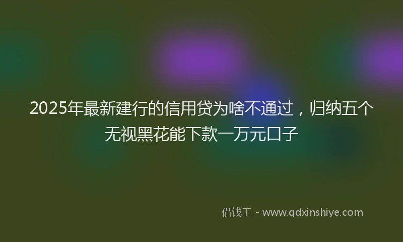2025年最新建行的信用贷为啥不通过，归纳五个无视黑花能下款一万元口子