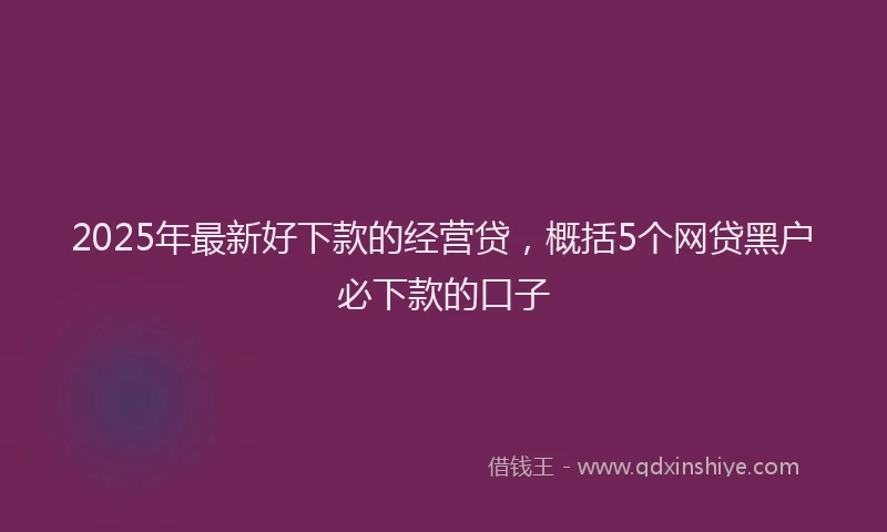 2025年最新好下款的经营贷，概括5个网贷黑户必下款的口子