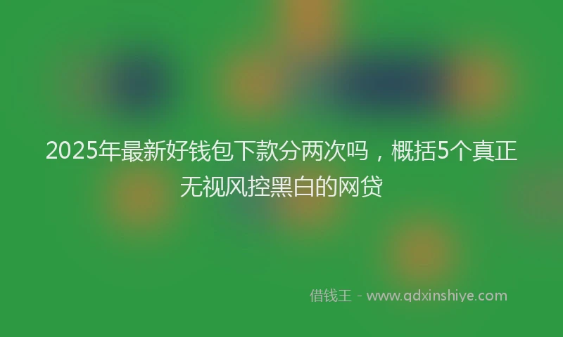 2025年最新好钱包下款分两次吗，概括5个真正无视风控黑白的网贷