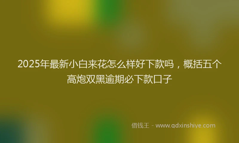 2025年最新小白来花怎么样好下款吗，概括五个高炮双黑逾期必下款口子