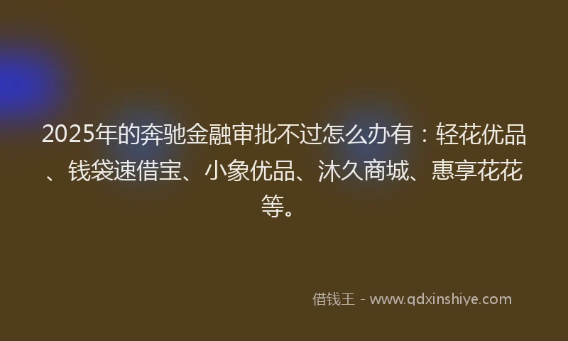 2025年的奔驰金融审批不过怎么办有：轻花优品、钱袋速借宝、小象优品、沐久商城、惠享花花等。