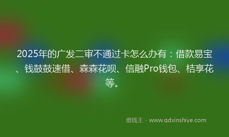 2025年的广发二审不通过卡怎么办有：借款易宝、钱鼓鼓速借、森森花呗、信融Pro钱包、桔享花等。