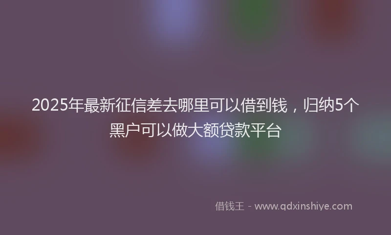 2025年最新征信差去哪里可以借到钱，归纳5个黑户可以做大额贷款平台