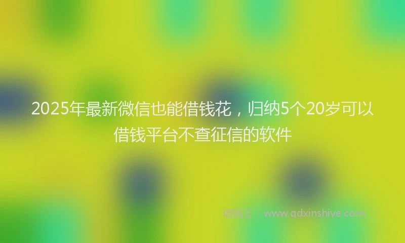 2025年最新微信也能借钱花，归纳5个20岁可以借钱平台不查征信的软件