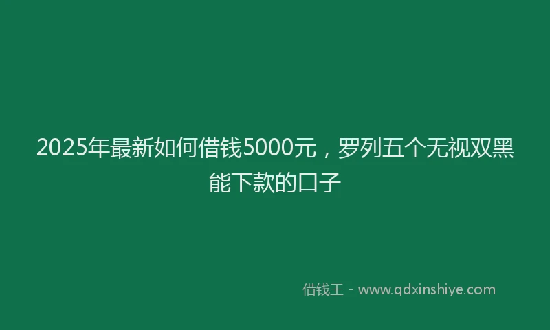 2025年最新如何借钱5000元，罗列五个无视双黑能下款的口子