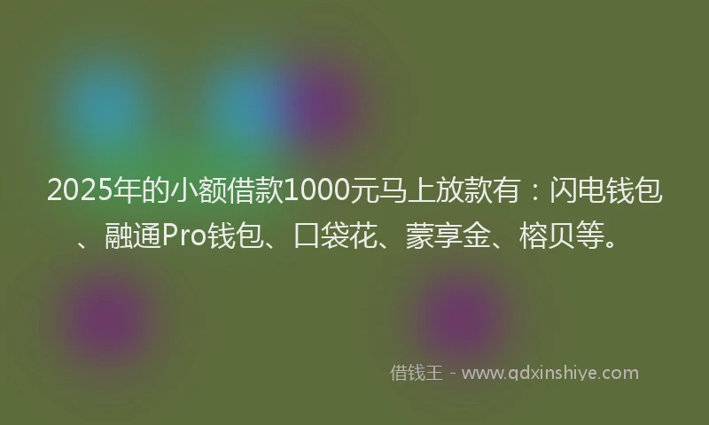 2025年的小额借款1000元马上放款有：闪电钱包、融通Pro钱包、口袋花、蒙享金、榕贝等。