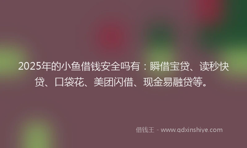2025年的小鱼借钱安全吗有：瞬借宝贷、读秒快贷、口袋花、美团闪借、现金易融贷等。
