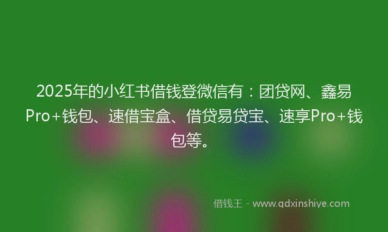2025年的小红书借钱登微信有：团贷网、鑫易Pro+钱包、速借宝盒、借贷易贷宝、速享Pro+钱包等。