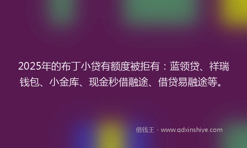 2025年的布丁小贷有额度被拒有：蓝领贷、祥瑞钱包、小金库、现金秒借融途、借贷易融途等。