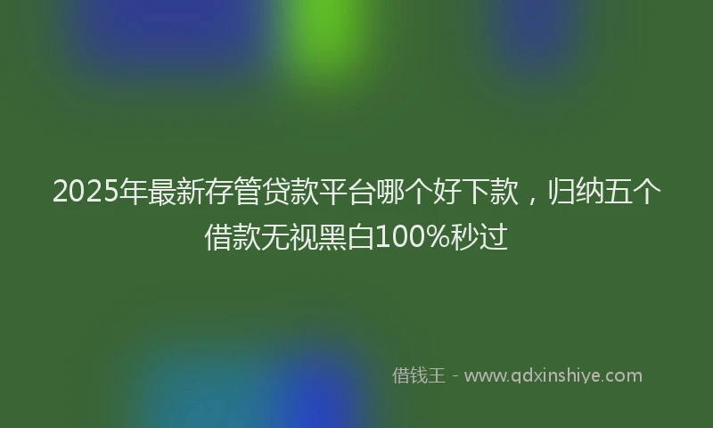 2025年最新存管贷款平台哪个好下款，归纳五个借款无视黑白100%秒过