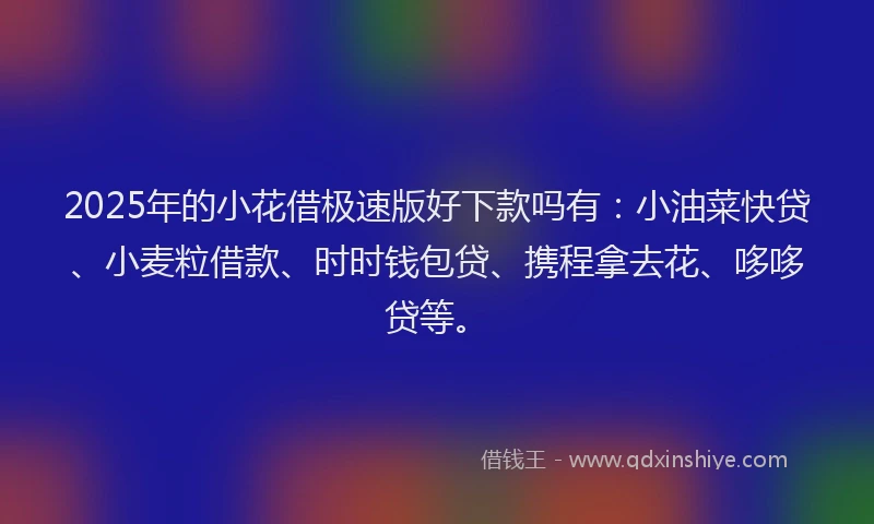 2025年的小花借极速版好下款吗有：小油菜快贷、小麦粒借款、时时钱包贷、携程拿去花、哆哆贷等。