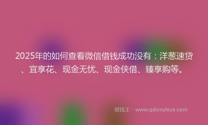 2025年的如何查看微信借钱成功没有：洋葱速贷、宜享花、现金无忧、现金侠借、臻享购等。