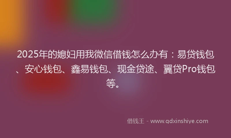 2025年的媳妇用我微信借钱怎么办有：易贷钱包、安心钱包、鑫易钱包、现金贷途、翼贷Pro钱包等。