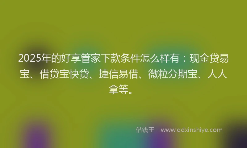 2025年的好享管家下款条件怎么样有：现金贷易宝、借贷宝快贷、捷信易借、微粒分期宝、人人拿等。