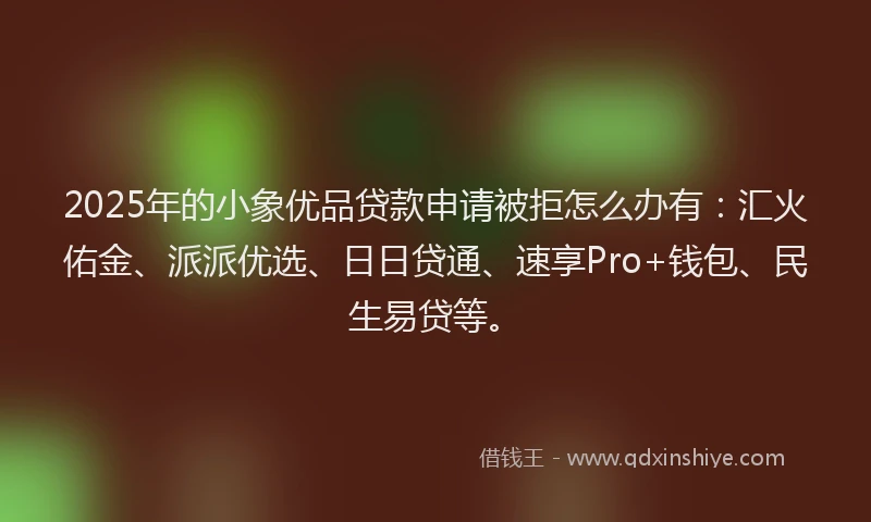2025年的小象优品贷款申请被拒怎么办有：汇火佑金、派派优选、日日贷通、速享Pro+钱包、民生易贷等。