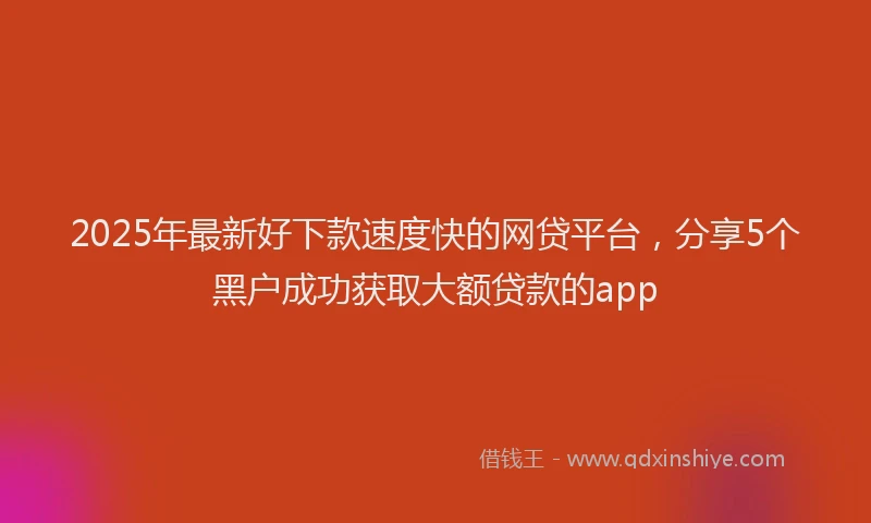 2025年最新好下款速度快的网贷平台，分享5个黑户成功获取大额贷款的app