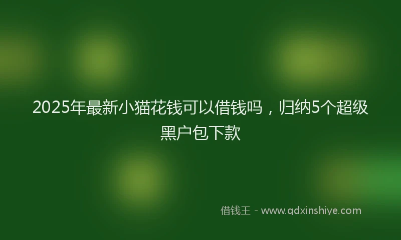 2025年最新小猫花钱可以借钱吗，归纳5个超级黑户包下款