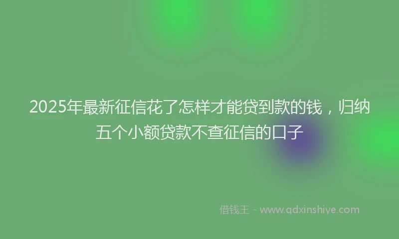 2025年最新征信花了怎样才能贷到款的钱，归纳五个小额贷款不查征信的口子