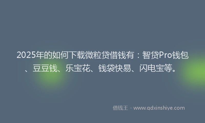 2025年的如何下载微粒贷借钱有：智贷Pro钱包、豆豆钱、乐宝花、钱袋快易、闪电宝等。