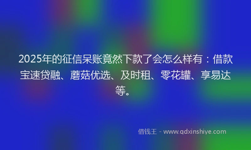 2025年的征信呆账竟然下款了会怎么样有：借款宝速贷融、蘑菇优选、及时租、零花罐、享易达等。