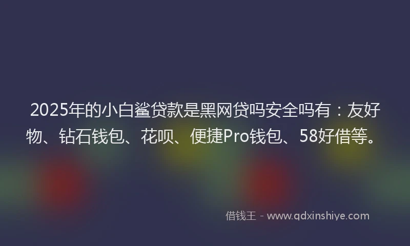 2025年的小白鲨贷款是黑网贷吗安全吗有：友好物、钻石钱包、花呗、便捷Pro钱包、58好借等。