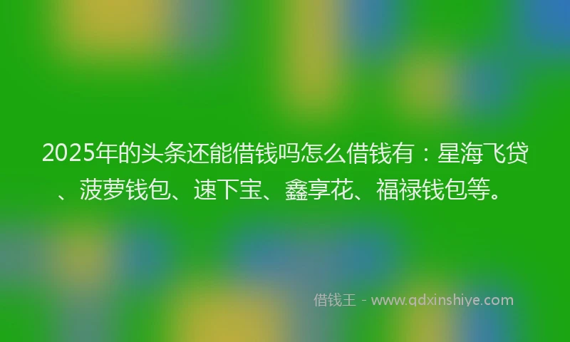 2025年的头条还能借钱吗怎么借钱有：星海飞贷、菠萝钱包、速下宝、鑫享花、福禄钱包等。