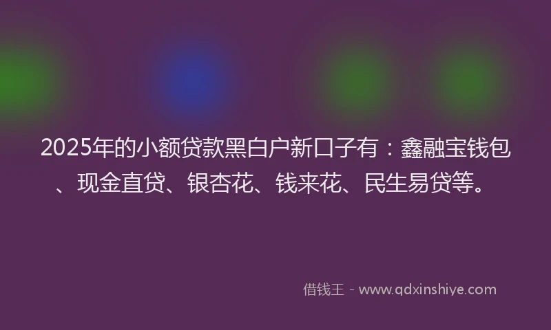 2025年的小额贷款黑白户新口子有：鑫融宝钱包、现金直贷、银杏花、钱来花、民生易贷等。