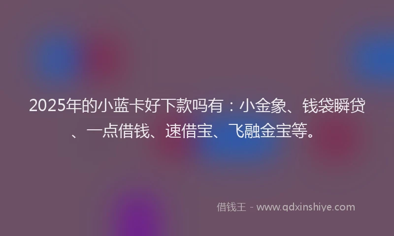 2025年的小蓝卡好下款吗有：小金象、钱袋瞬贷、一点借钱、速借宝、飞融金宝等。