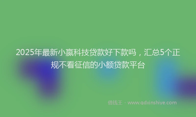 2025年最新小嬴科技贷款好下款吗，汇总5个正规不看征信的小额贷款平台