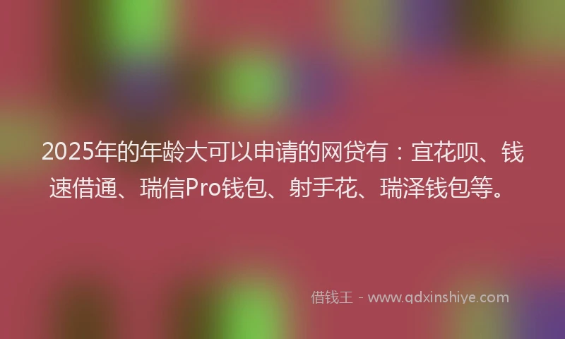 2025年的年龄大可以申请的网贷有：宜花呗、钱速借通、瑞信Pro钱包、射手花、瑞泽钱包等。
