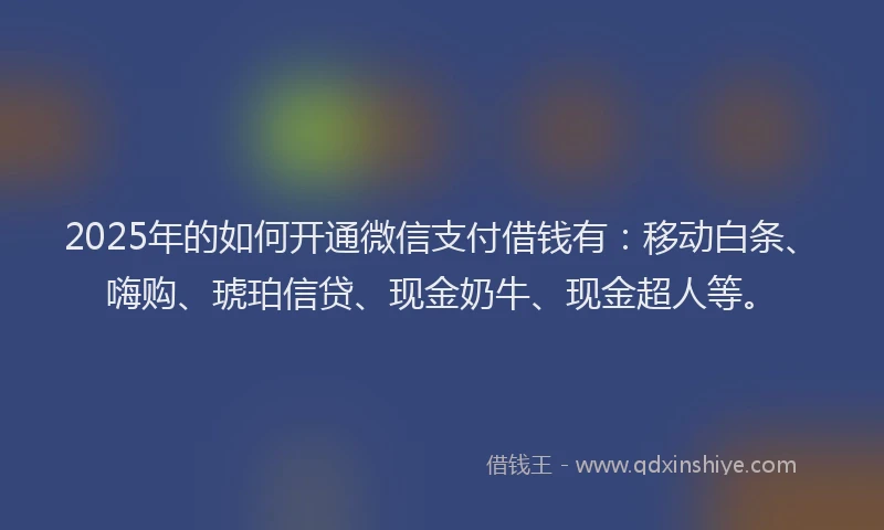 2025年的如何开通微信支付借钱有：移动白条、嗨购、琥珀信贷、现金奶牛、现金超人等。