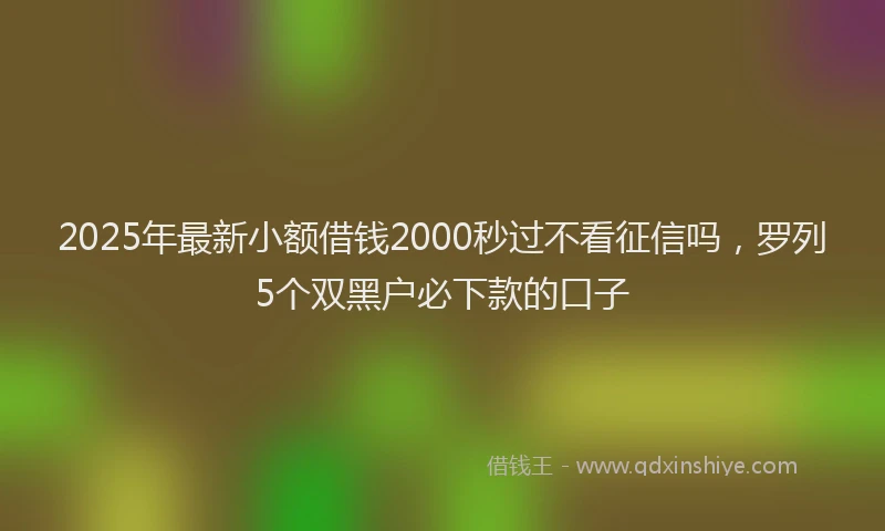 2025年最新小额借钱2000秒过不看征信吗，罗列5个双黑户必下款的口子