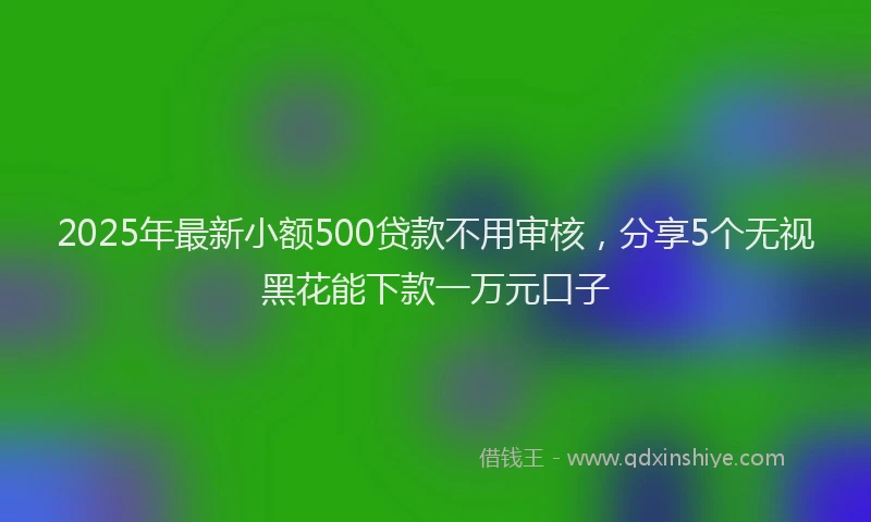 2025年最新小额500贷款不用审核，分享5个无视黑花能下款一万元口子
