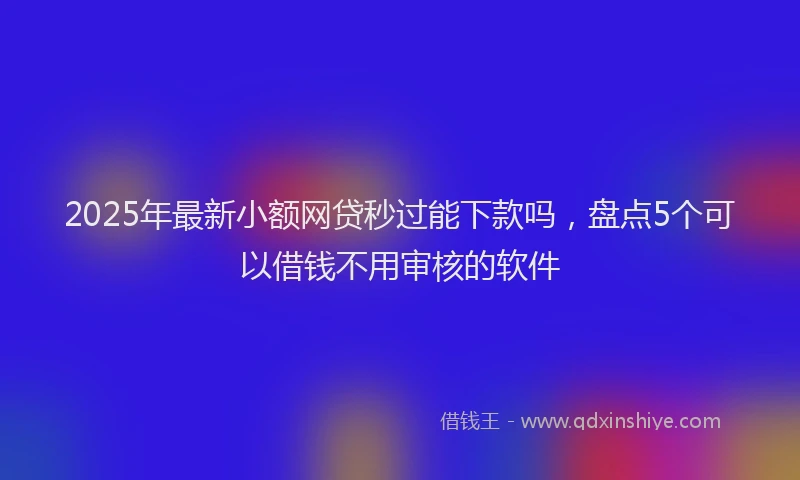 2025年最新小额网贷秒过能下款吗，盘点5个可以借钱不用审核的软件