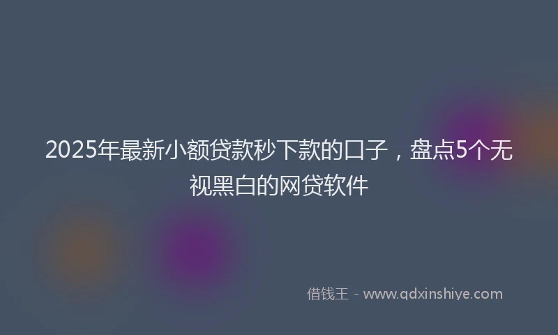 2025年最新小额贷款秒下款的口子，盘点5个无视黑白的网贷软件