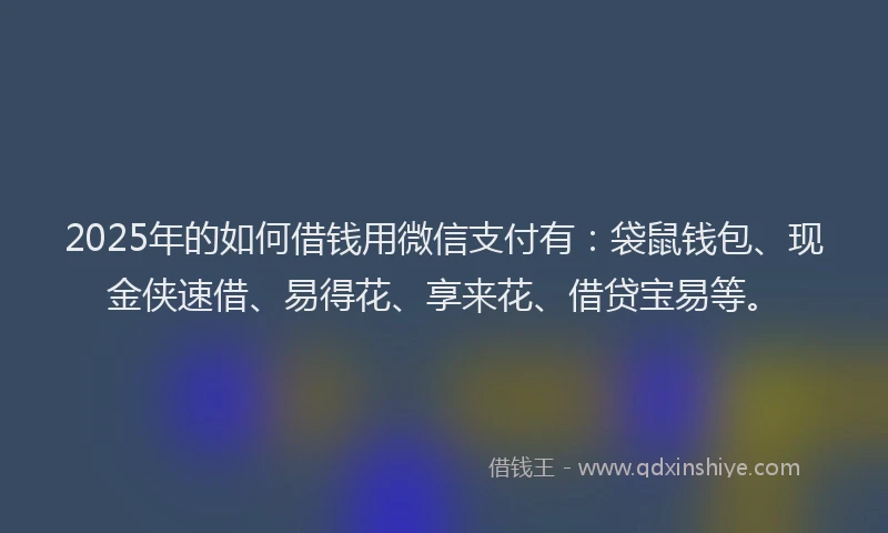 2025年的如何借钱用微信支付有：袋鼠钱包、现金侠速借、易得花、享来花、借贷宝易等。