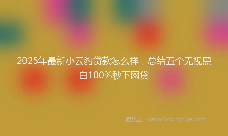 2025年最新小云豹贷款怎么样，总结五个无视黑白100%秒下网贷