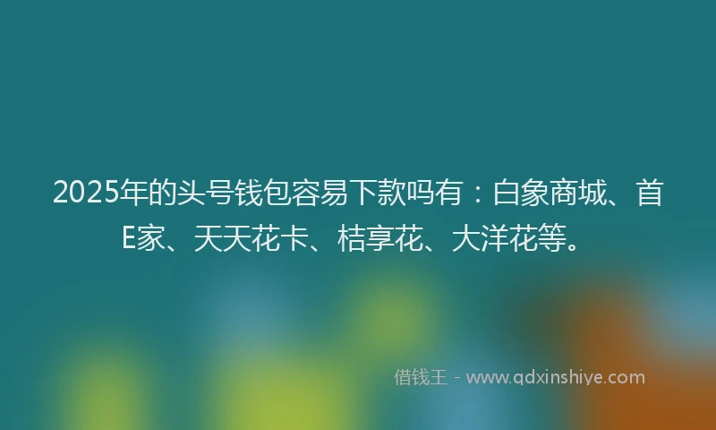 2025年的头号钱包容易下款吗有：白象商城、首E家、天天花卡、桔享花、大洋花等。