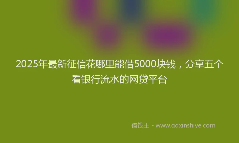2025年最新征信花哪里能借5000块钱，分享五个看银行流水的网贷平台