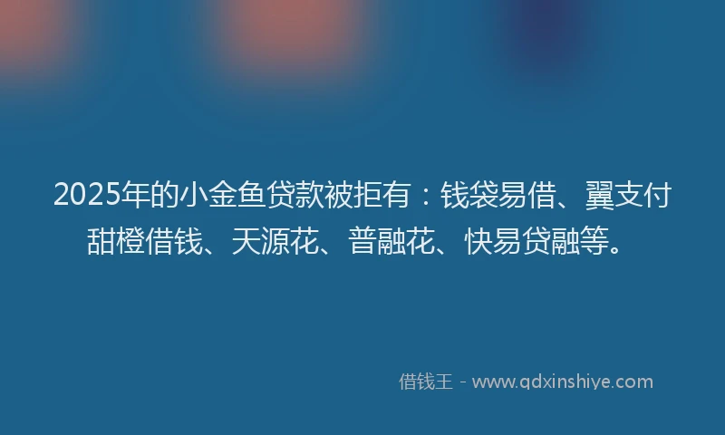 2025年的小金鱼贷款被拒有：钱袋易借、翼支付甜橙借钱、天源花、普融花、快易贷融等。