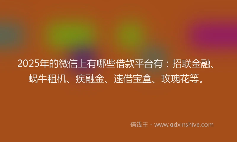2025年的微信上有哪些借款平台有：招联金融、蜗牛租机、疾融金、速借宝盒、玫瑰花等。