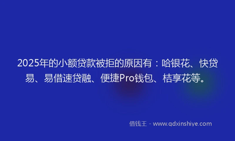 2025年的小额贷款被拒的原因有：哈银花、快贷易、易借速贷融、便捷Pro钱包、桔享花等。