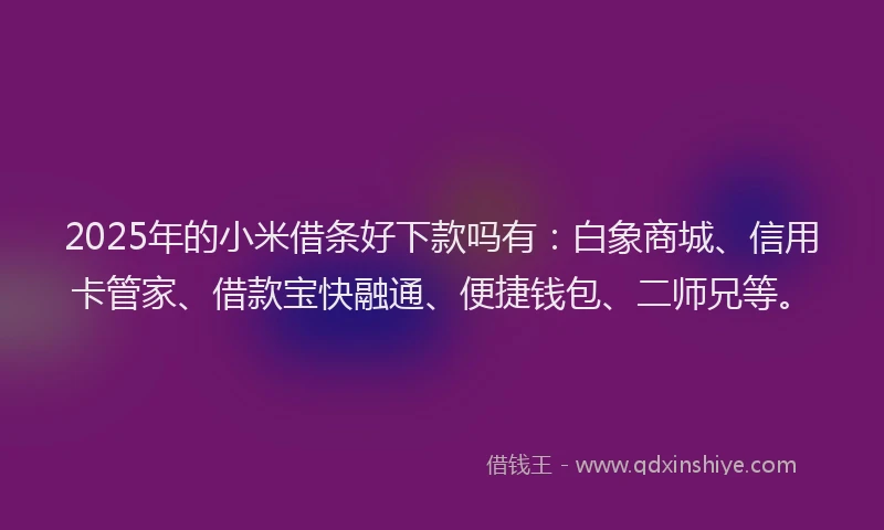 2025年的小米借条好下款吗有：白象商城、信用卡管家、借款宝快融通、便捷钱包、二师兄等。