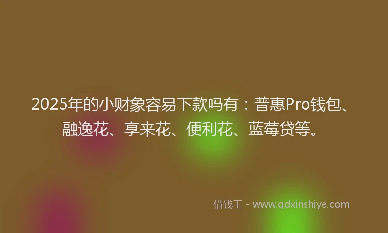 2025年的小财象容易下款吗有：普惠Pro钱包、融逸花、享来花、便利花、蓝莓贷等。