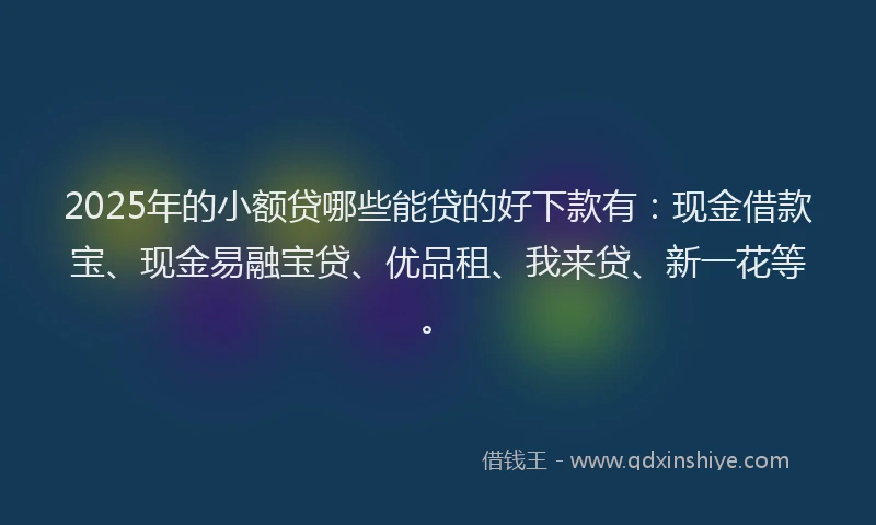 2025年的小额贷哪些能贷的好下款有：现金借款宝、现金易融宝贷、优品租、我来贷、新一花等。